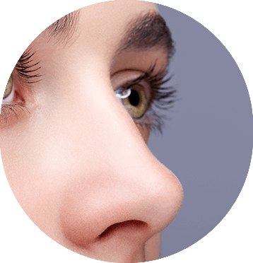 michelle-figueiredo-rinomodelação-elipse